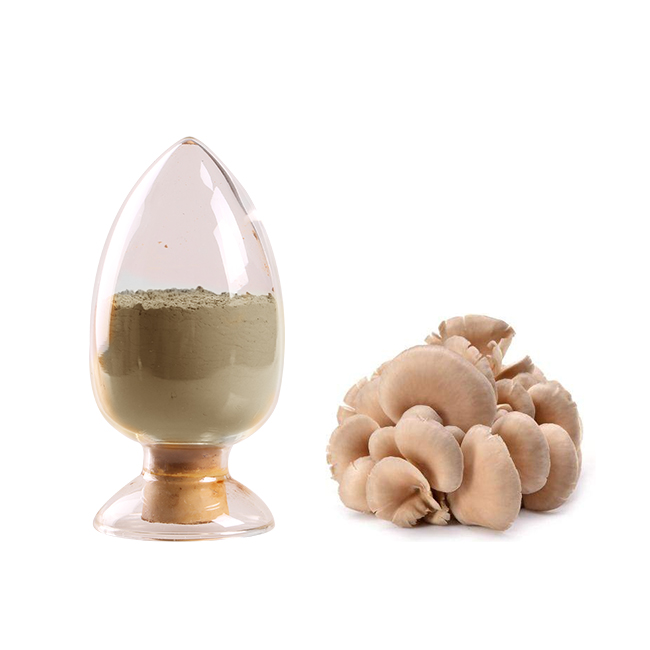 Organic Pleurotus ostreatus (Oyster Mushroom) powder Ekowarehouse